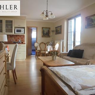 Pronájem bytu 1+kk, garsoniery 50 m&sup2; Železná Ruda