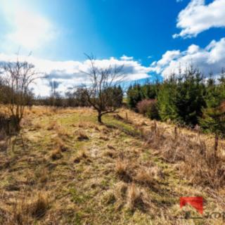Prodej stavební parcely 707 m² Řepín Živonín