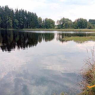 Prodej vodní plochy 69474 m&sup2; Horní Radouň