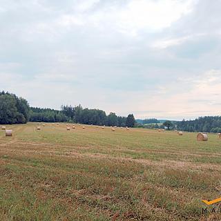 Prodej zemědělské půdy, 237194m&sup2;