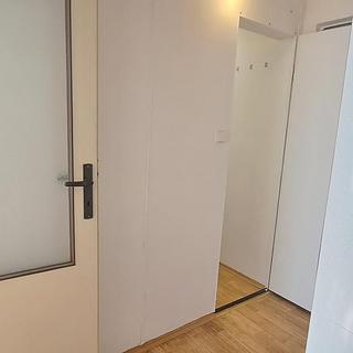 Pronájem bytu 1+1 34 m² Jihlava, Březinova