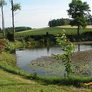 Prodej zemědělské usedlosti 456 m² Dehtáře Onšovice