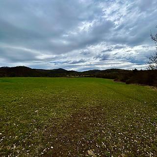 Prodej stavební parcely 9 863 m² Bžany Bukovice