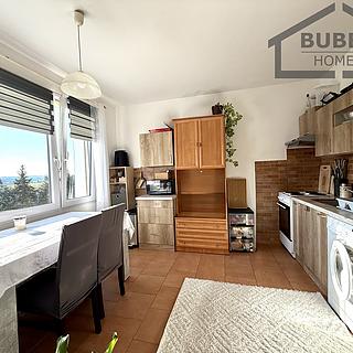 Pronájem bytu 1+1 42 m² Planá, Fučíkova