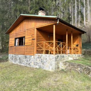 Prodej chaty 33 m² Černošín Záhoří