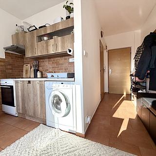 Pronájem bytu 1+1 42 m² Planá