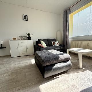 Pronájem bytu 1+1 38 m² Tachov, Želivského