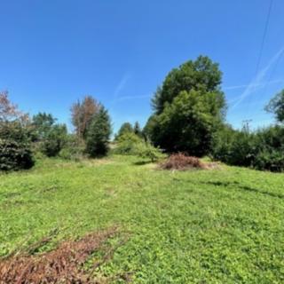 Prodej stavební parcely 2 088 m² Bor Kurojedy