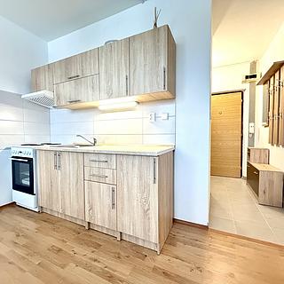 Pronájem bytu 1+1 42 m² Staré Sedliště