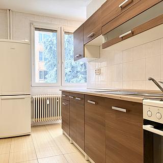 Pronájem bytu 2+1 51 m&sup2; Přimda