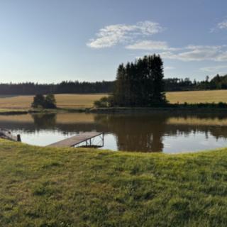 Prodej vodní plochy 6 672 m² Olbramov Zádub