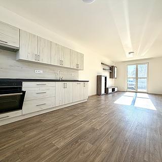 Pronájem bytu 3+kk 80 m² Staré Sedliště