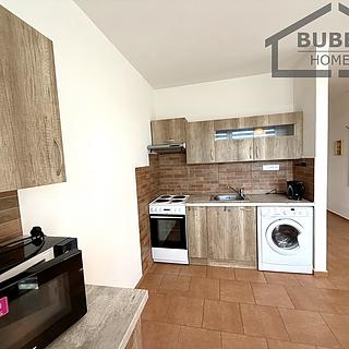 Pronájem bytu 1+1 42 m² Planá, Fučíkova