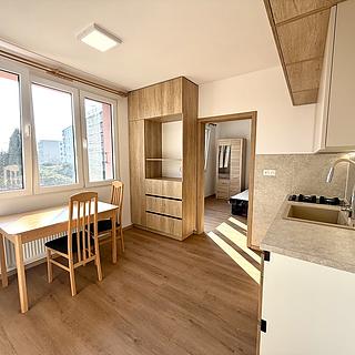 Prodej bytu 1+1 35 m² Bor, Přimdská