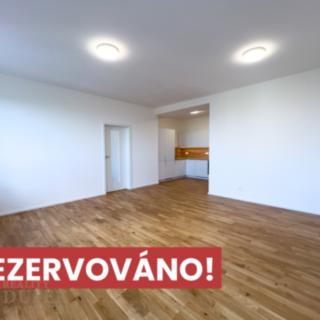 Pronájem bytu 2+kk 53 m² Praha Žižkov, Hartigova