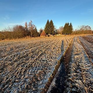 Prodej stavební parcely 2530 m&sup2; Velká Bukovina