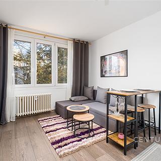 Pronájem bytu 1+kk a garsoniéry 20 m² Ústí nad Labem Severní Terasa, Větrná