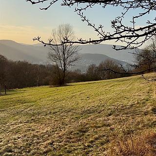 Prodej ostatního pozemku 25 018 m² Děčín