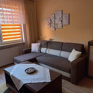 Pronájem bytu 1+1 40 m² Ostrava