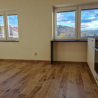 Pronájem bytu 2+kk 51 m² Brno