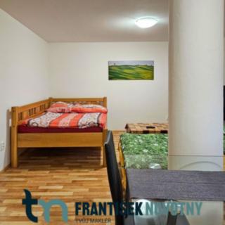Pronájem bytu 1+kk a garsoniéry 35 m² Olbramovice