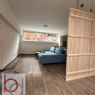 Pronájem bytu 1+kk a garsoniéry 33 m² Český Krumlov Horní Brána, Stříbrná