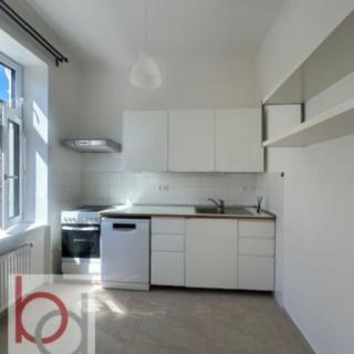 Pronájem bytu 3+kk 60 m² České Budějovice 7, Matice školské