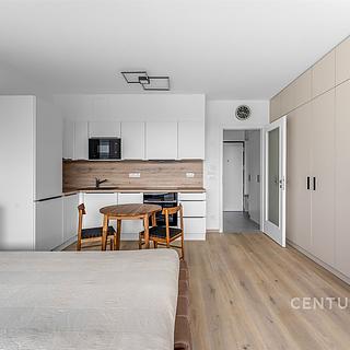 Pronájem bytu 1+kk, garsoniery, 32m&sup2;