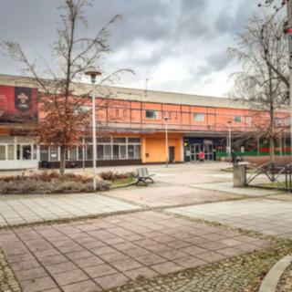 Pronájem ostatního komerčního prostoru 1 120 m² Bohumín Nový, Čáslavská