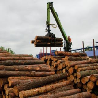 Prodej výrobního objektu, 40000m²