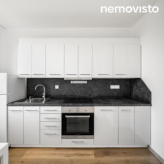 Pronájem bytu 1+1 33 m² Ostrava, Aloise Gavlase