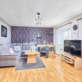 Prodej rodinného domu 231 m&sup2; Pištín