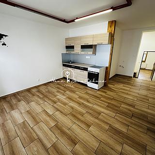 Pronájem bytu 2+kk 58 m² České Budějovice 3, Fráni Šrámka