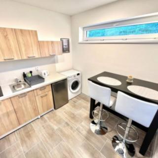 Pronájem bytu 1+1 65 m² Brno, Kalvodova
