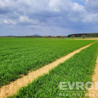 Prodej zemědělské půdy 27 281 m² Čistá