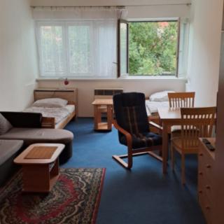 Pronájem bytu 1+kk, garsoniery 25 m² Praha