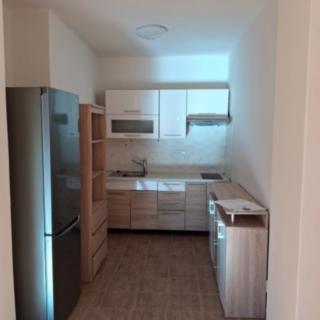 Pronájem bytu 1+kk, garsoniery 41 m² Praha