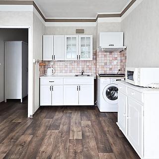 Pronájem bytu 1+kk a garsoniéry 27 m² Děčín III-Staré Město, Žerotínova