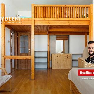 Prodej bytu 3+1 74 m² Ústí nad Labem, Elišky Krásnohorské