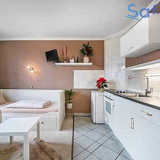 Prodej bytu 1+kk a garsoniéry 23 m² Plzeň Východní Předměstí, náměstí Generála Píky