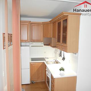 Pronájem bytu 2+kk 40 m² Litoměřice Pokratice, Alfonse Muchy