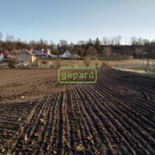 Prodej stavební parcely 6937 m² Sedlec