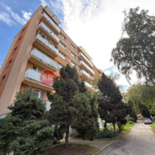 Prodej bytu 2+1 54 m² České Budějovice 7, Roudenská