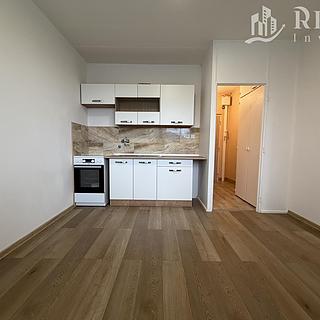 Pronájem bytu 1+1 38 m² Chomutov