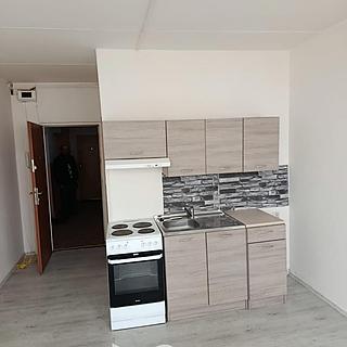 Prodej bytu 1+kk a garsoniéry 21 m² Most, U Věžových domů