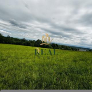 Prodej stavební parcely 9 566 m² Blatno