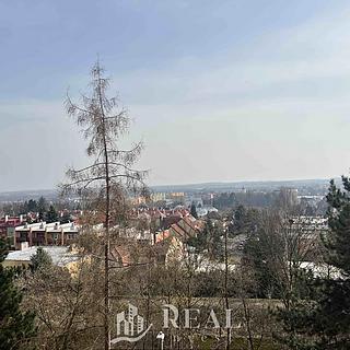 Pronájem bytu 1+1 42 m² Jirkov, Generála Svobody