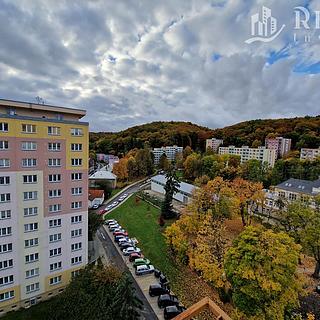 Prodej bytu 2+1 53 m² Litvínov Horní, Tylova