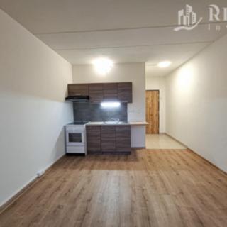 Pronájem bytu 1+kk a garsoniéry 20 m² Jirkov, Studentská