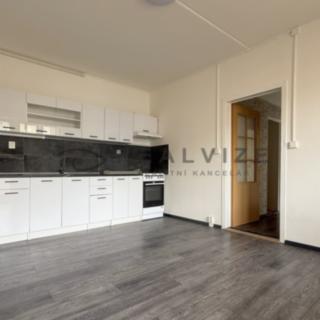 Prodej bytu 2+kk 44 m² České Budějovice